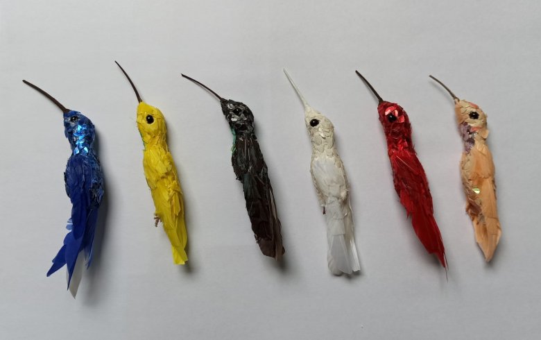 Mnica Alonso. A maxia do colibr. Seis casos desesperados, 2015-2020. Foto: cortesa da artista